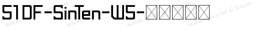 51 DF-SinTen-W5字体转换